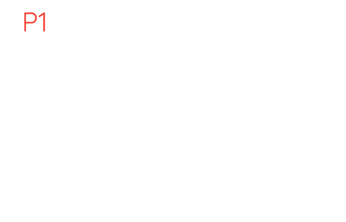 WASD Keys